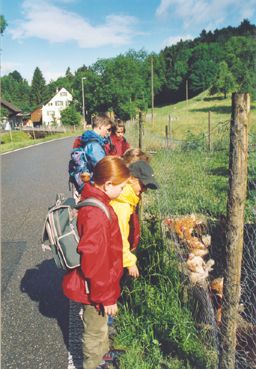 2001 Wanderung «Küsnachtertobel»